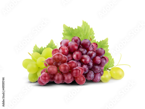 Bunch of grapes vector illustration