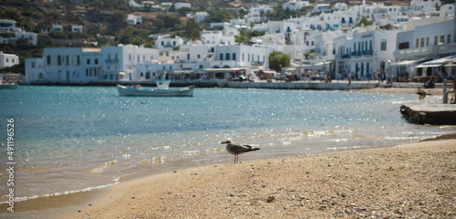 Visiting Greek island is a trip offer sights coastline epic views over Mykonos Town, its colourful boat filled port and the island’s famous five windmills © Damian