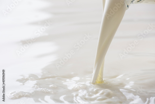 収穫した新鮮なミルクを注ぐ、牛乳 photo