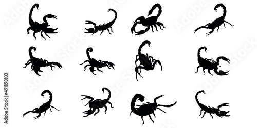 Vector scorpion silhouettes, vector icons for stickers, print and logo.