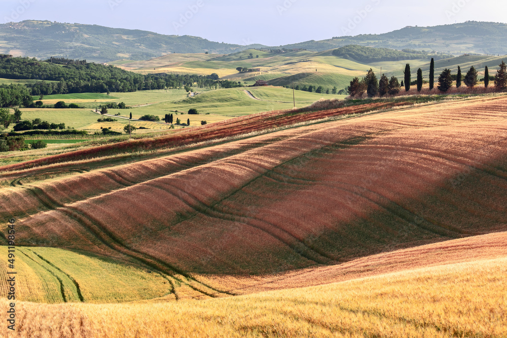 Complex and intricate landscaping of fields in Tuscany. Val d'Orcia, Italy