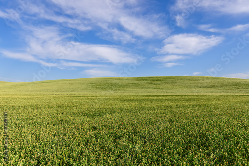 Minimalist landscape of a clear horizon between Tuscan cultivated green hills and summer sky. Val d Orcia  Italy