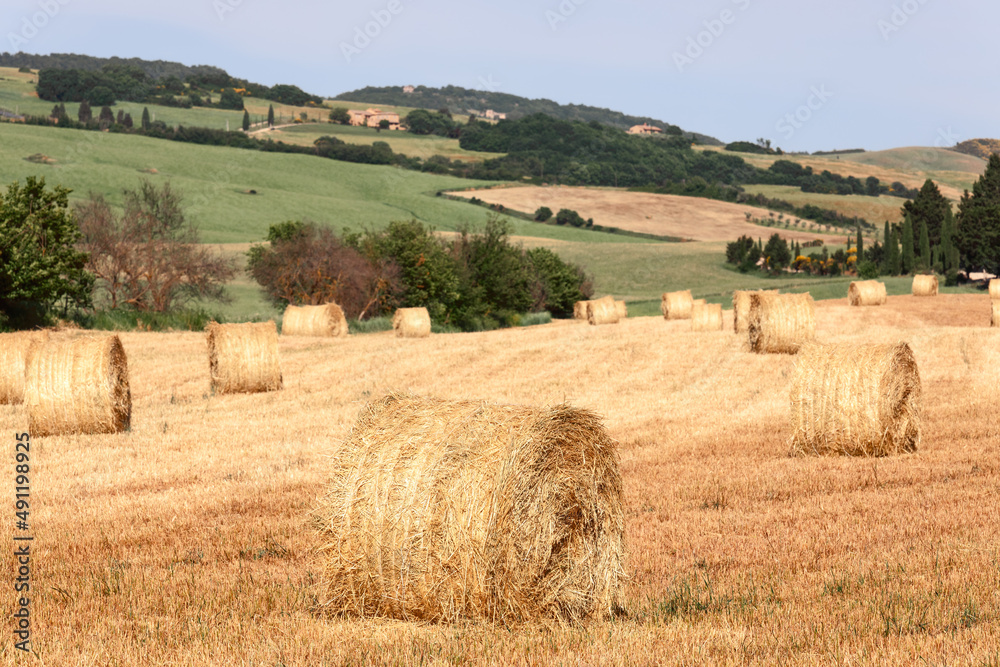Close view to the bales of hay among other cultivated Tuscan hills and forests. Val d'Orcia, Italy