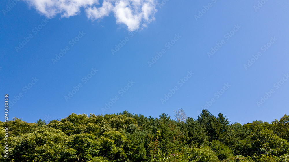 white clouds floating in the blue sky