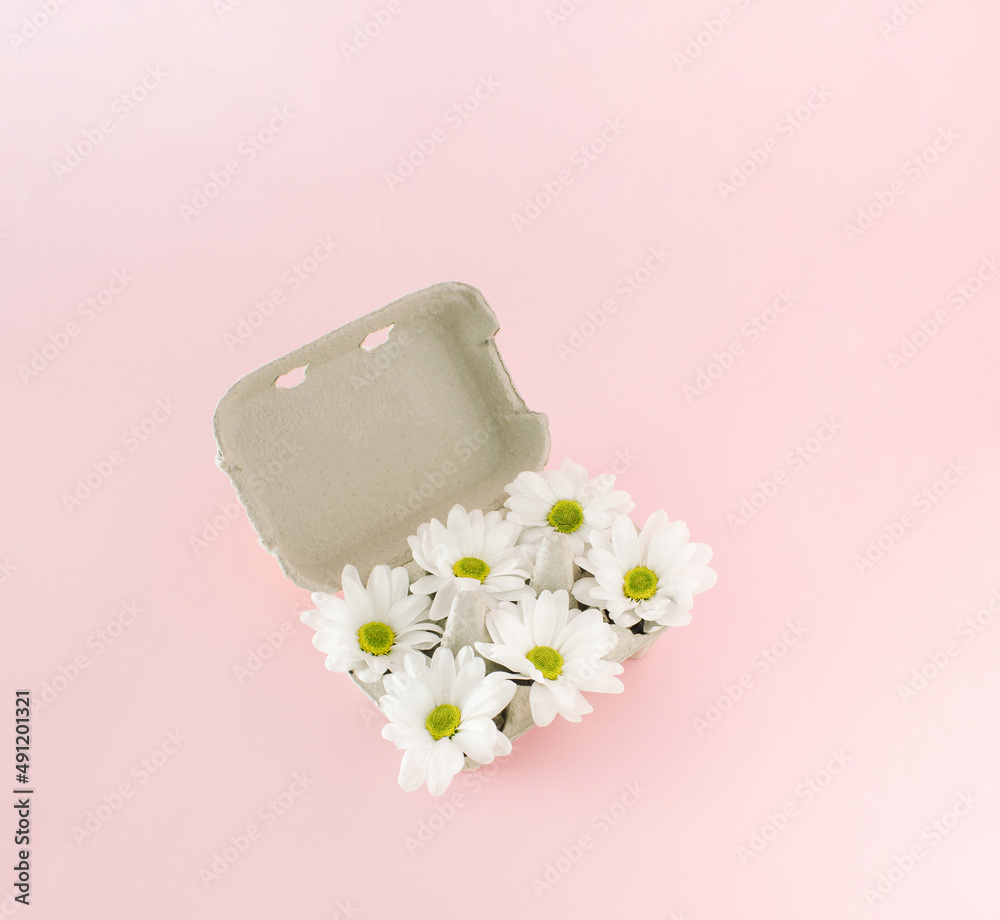 White marguerite daisies flowers stacked in egg carton box. White marguerite daisies flowers stacked in egg carton box.