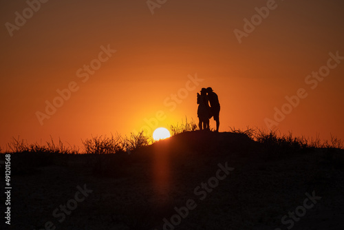 silhouette of a lovely couple in sunset © cherdchai