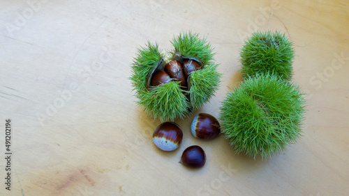 ripe chestnuts