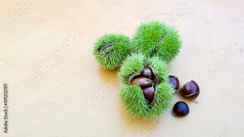 ripe chestnuts