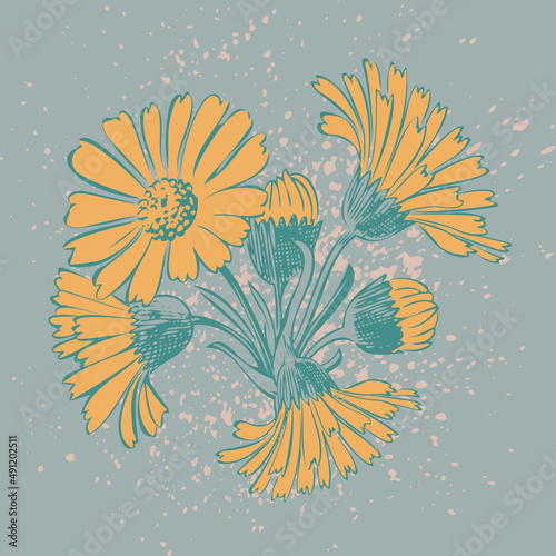 Attractively arranged bunch of flowers. Drawn Chrysanthemum flowers artistic vector illustration. Floral botanical wedding ornament trendy pattern design with watercolor spray. Decorative background