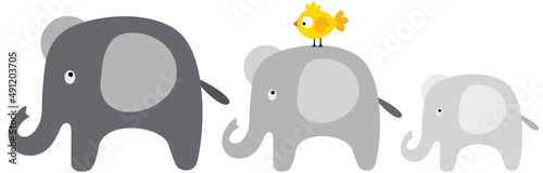 Three elephants walking with little bird