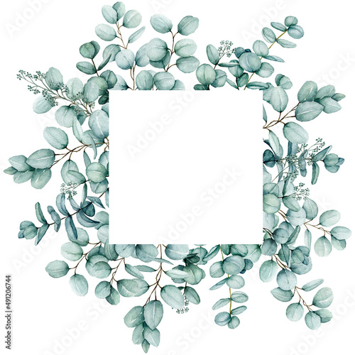 Watercolor eucalyptus Square Frame, Floral eucalyptus leaves and branches exotic Border, isolated on white background, Copy Space Hand Painted Frame