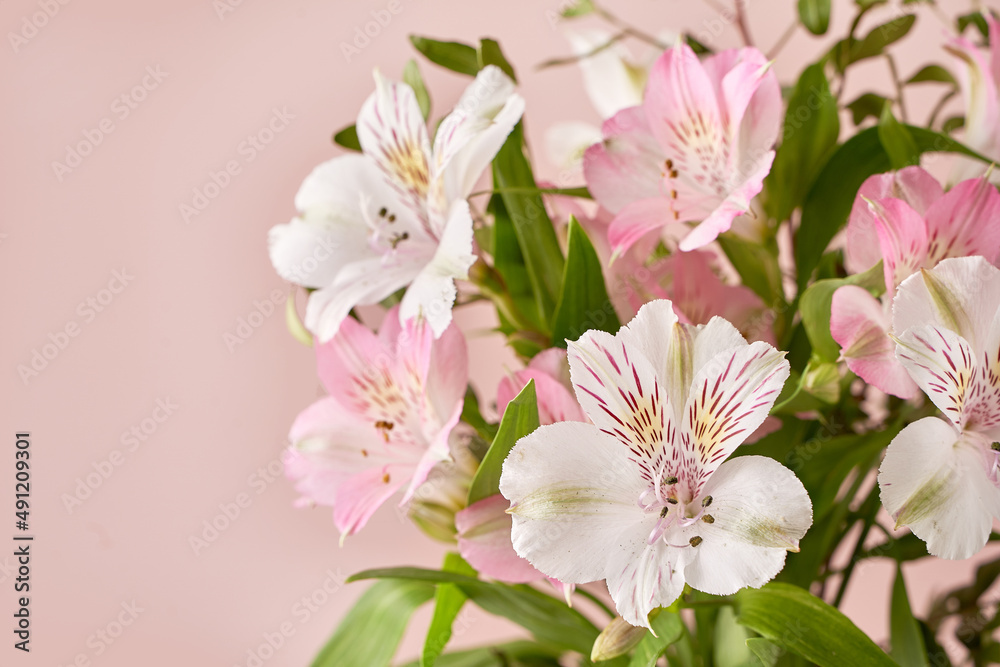 delicate spring flowers on a pink background