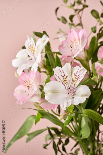 delicate spring flowers on a pink background