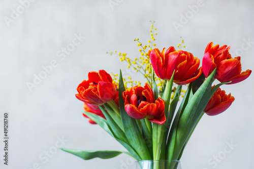 Bouquet of red tulips and mimosa. Spring. Flowers. Celebration. March 8, mother's day, birthday