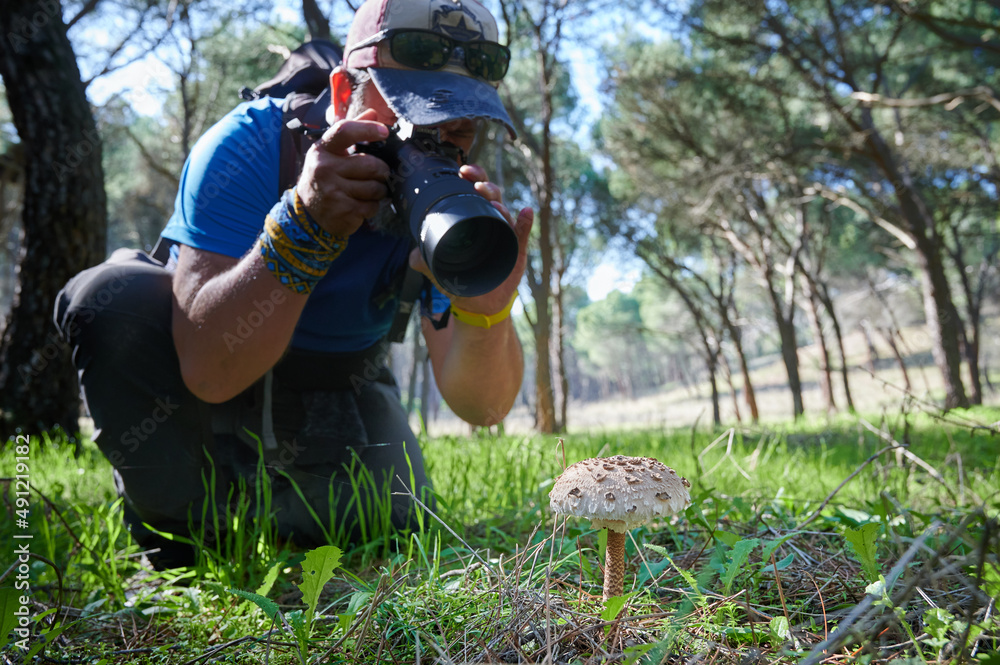 Φωτογραφία Middle age man spends the day in the forest taking photos of a parasol mushroom (macrolepiota procera) on a hiking journey