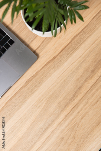 part of a desktop with a laptop and a houseplant on an oak wooden background close-up. diagonal composition. Workspace on an oak table. top view. Flatley. Vertical