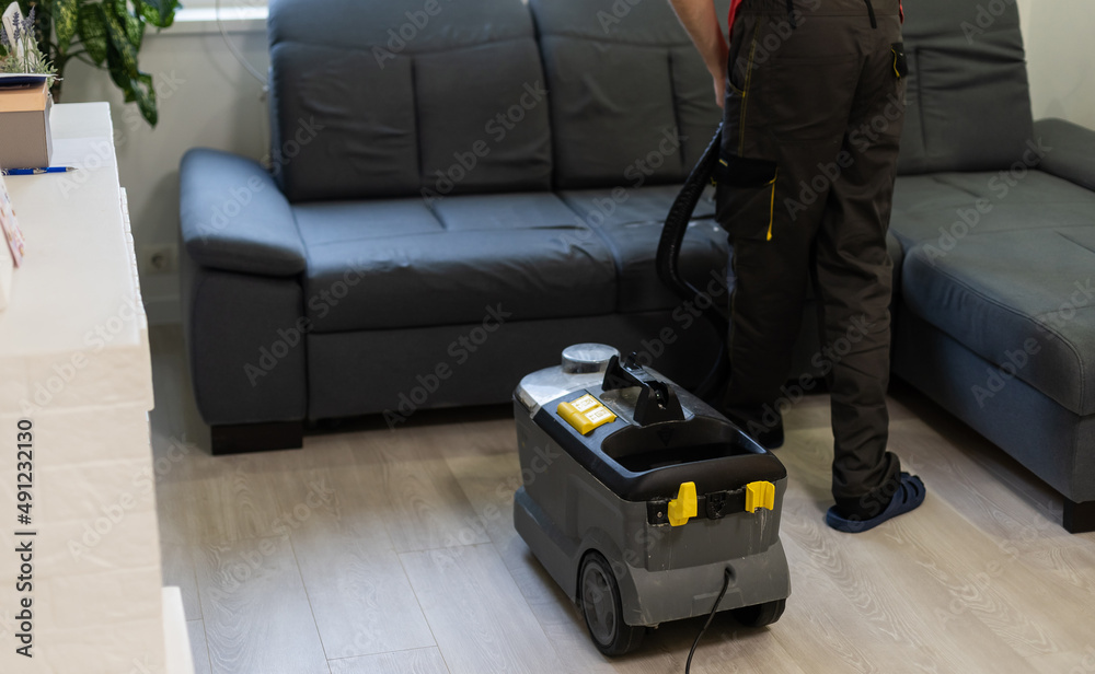 Fototapeta premium Removing dirt from sofa with upholstery cleaner, closeup