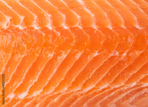 Closeup of raw salmon fish. Food backdrop