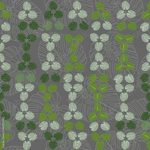 Monstera leaves tropical seamless pattern