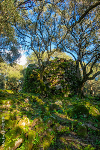 Fototapeta Naklejka Na Ścianę i Meble -  Villaggio nuragico di Santa Cristina, comune di Paulilatino, provincia di Oristano, Sardegna