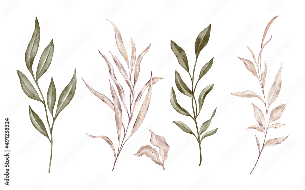 Naklejka premium set of green and beige branches