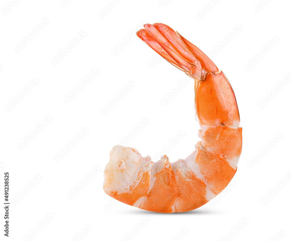 shrimps isolated on a white background shrimps isolated on a white background