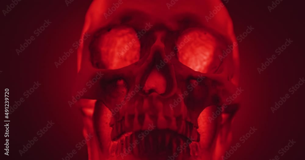 Skull with colored lighting loop closeup with particles Skull with colored lighting loop closeup with particles