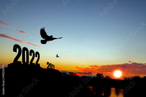 welcome in 2022, beautiful silhouette sunset in the river view. romantic sunset. dramatic sunset.