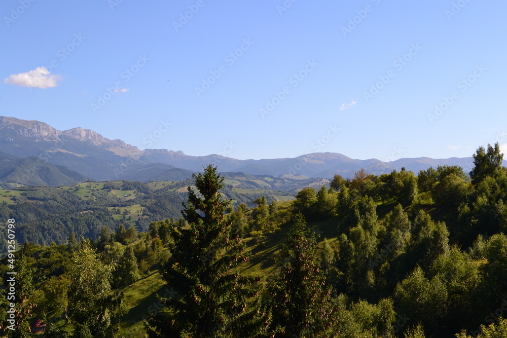 Mountain forest landscape background