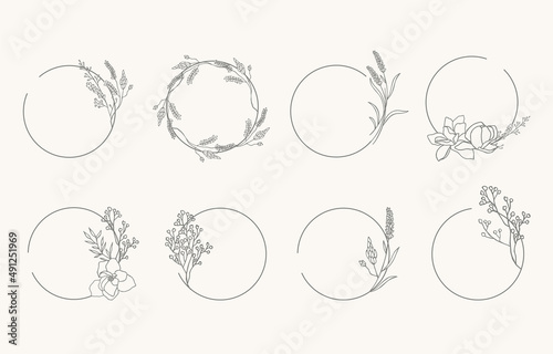 Line object collection with lavender,leaf,flower,circle