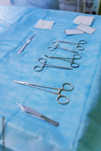 Veterinary surgical instruments lie on the operating table.