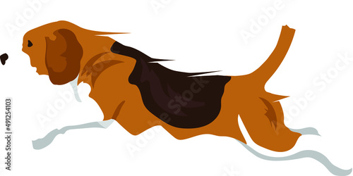 Vector illustration of Beagle dog jumping, isolated beagle