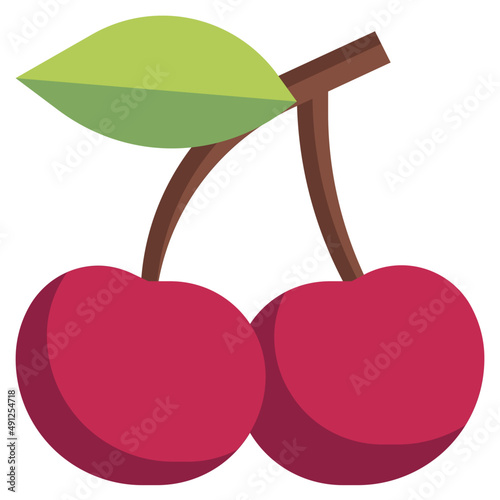 CHERRY flat icon