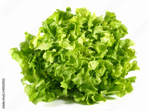 Endive Salad on White - Isolated on white Background