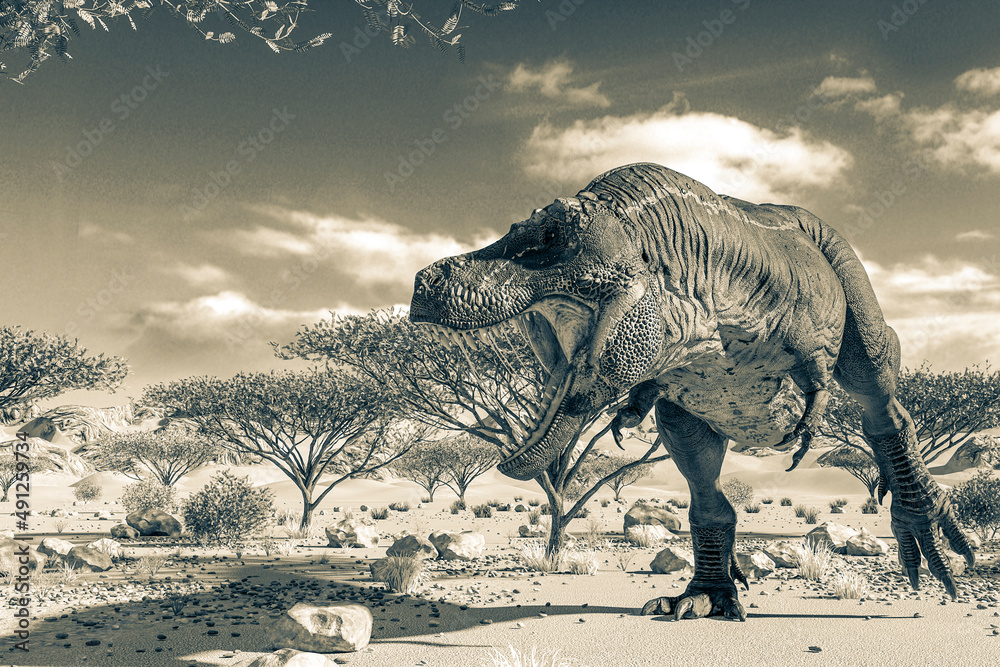 Fototapeta premium tyrannosaurus found somothing on desert