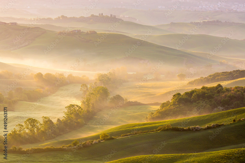 Dawn Fog in a rural valley landscape