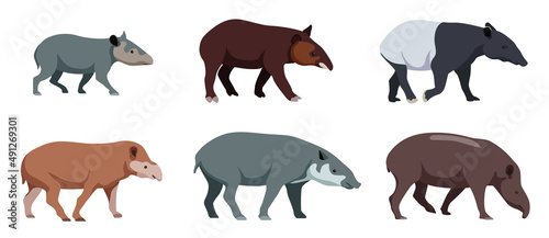 Set of different types of tapirs in cartoon style. Vector illustration of herbivores isolated on white background.