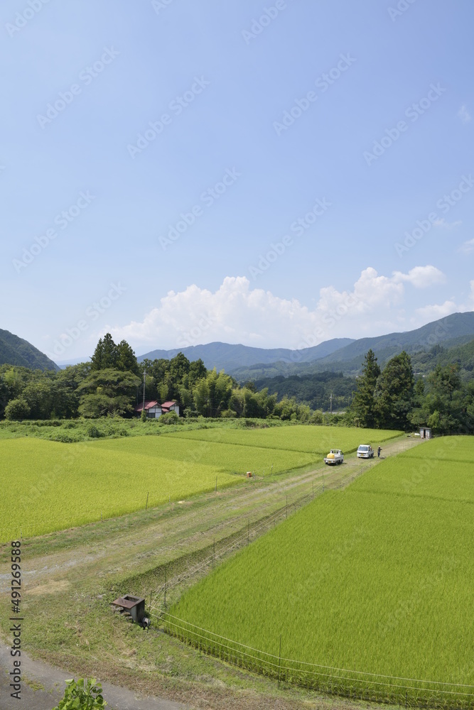 日本の田園風景 日本の田園風景
