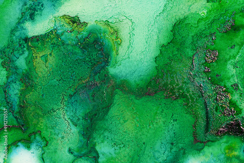Fototapeta Naklejka Na Ścianę i Meble -  Green alcohol Ink fluid background. Art painting