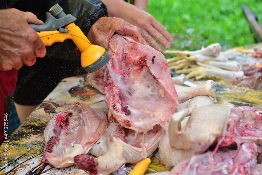 The butcher washes pieces of chicken with clean water during the slaughter