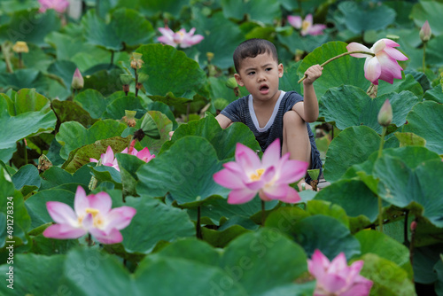 Vietnamese boy playing with the pink lotus over the traditional wooden boat in the big lake at thap muoi, dong thap province, vietnam, culture and life concept photo