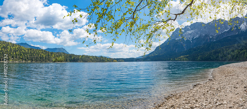 Gravel beach at lake shore Eibsee, birch tree with green leaves, zugspitze mountain bavarian alps