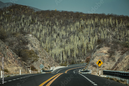 Landscape. Road photography. Mountain and blue sky.