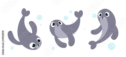 Vector illustration cute and beautiful sea calf on white background. Charming character in different poses in cartoon style.