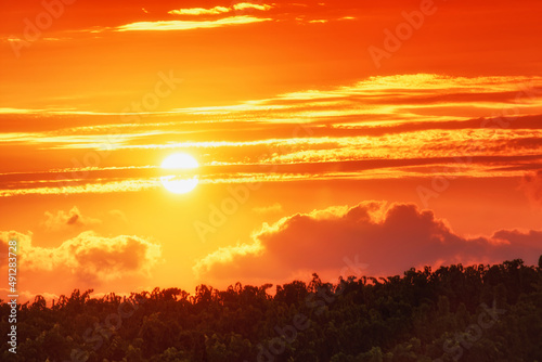 Corsica vineyard in Costa Serena coast © hassan bensliman