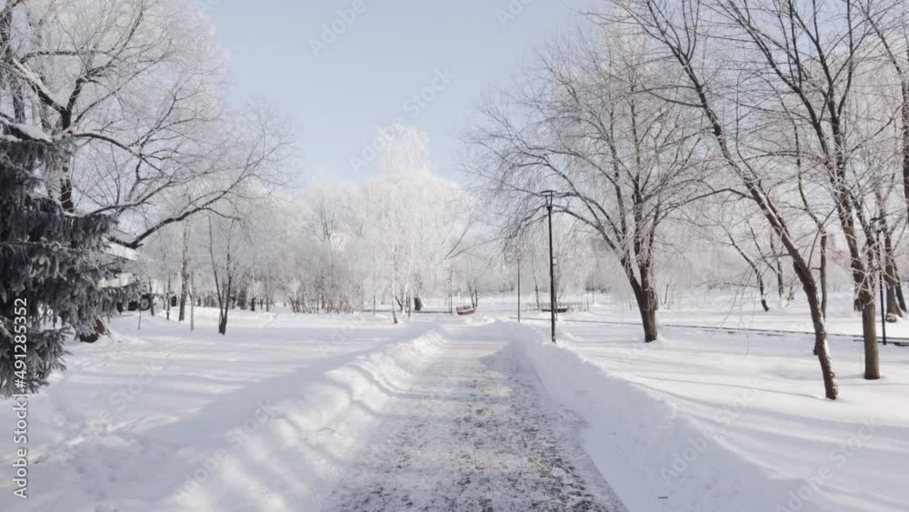 Snow-covered path in the city park Snow-covered path in the city park