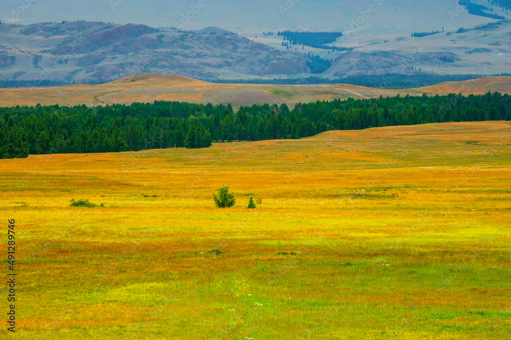 Bright natural minimalistic landscape with a spring multicolored field with mountains in the background. Natural background of the mountain steppe.