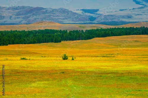 Bright natural minimalistic landscape with a spring multicolored field with mountains in the background. Natural background of the mountain steppe. © sablinstanislav