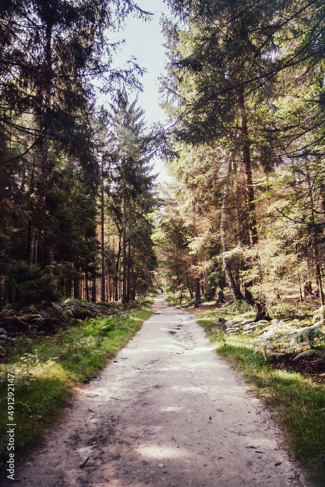 Wanderweg in Fluchtpunkt Perspektive, aufgenommen in der Sächsischen Schweiz mit den berühmten Schrammsteinen. In freier Natur zwischen Felsen und Sandsteinen. Wanderweg in Fluchtpunkt Perspektive, aufgenommen in der Sächsischen Schweiz mit den berühmten Schrammsteinen. In freier Natur zwischen Felsen und Sandsteinen.