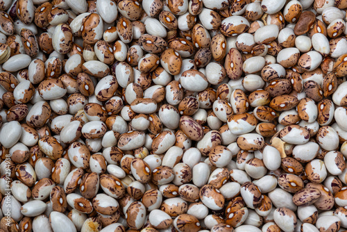 Haricot bean. kidney beans image